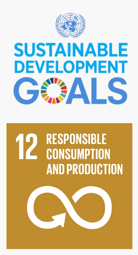 SDG12